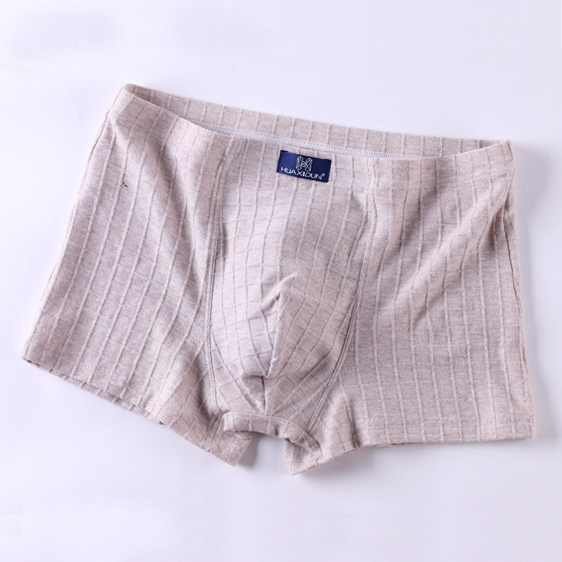 Men's underwear cotton boxer briefs