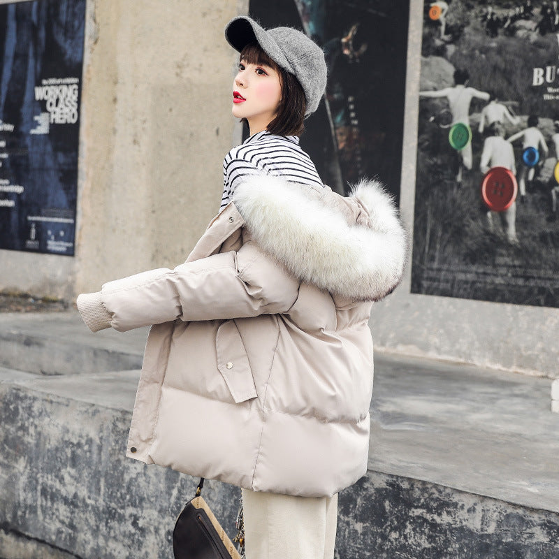 Foreign Trade Elegant Winter Korean Style Slim Fit All-matching Cotton-padded Clothes For Women