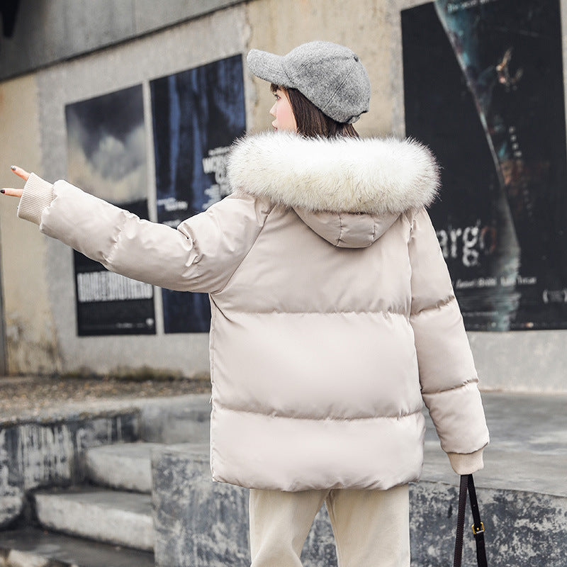 Foreign Trade Elegant Winter Korean Style Slim Fit All-matching Cotton-padded Clothes For Women